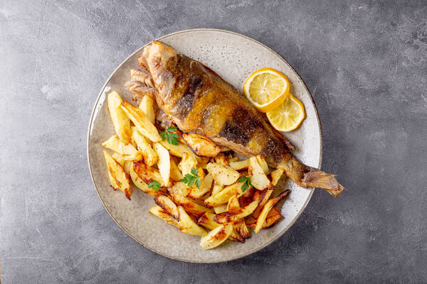 Baked sea bass or lingcod fish with potatoes on a plate and gray background top view