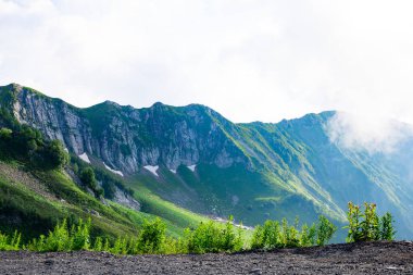  Yeşil bir dağ vadisinde güzel manzara, doğayla iç içe.