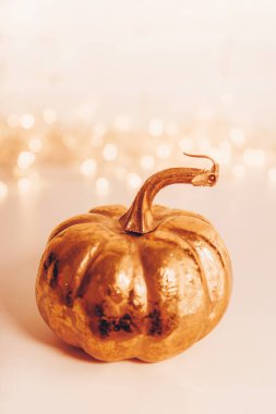 Açık arkaplanda altın sonbahar balkabağı ve metin için fotokopi alanı olan dikey güzel bir resim.