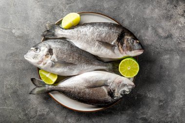 Limonlu çiğ dorado balığı ve koyu gri arka plan, üst manzara. Deniz ürünleri ile minimalist arka plan