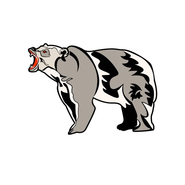 Ilustracja Wektorowa Grafika Szablonu Niedźwiedzia — Wektor stockowy