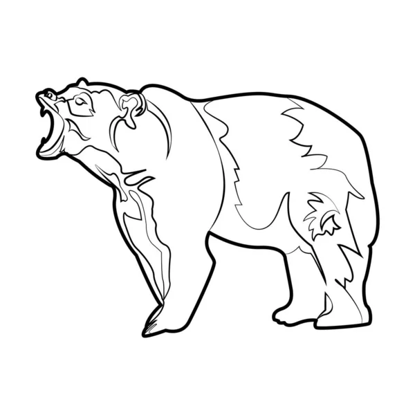 Ilustrační Vektorová Grafika Šablony Medvěda — Stockový vektor