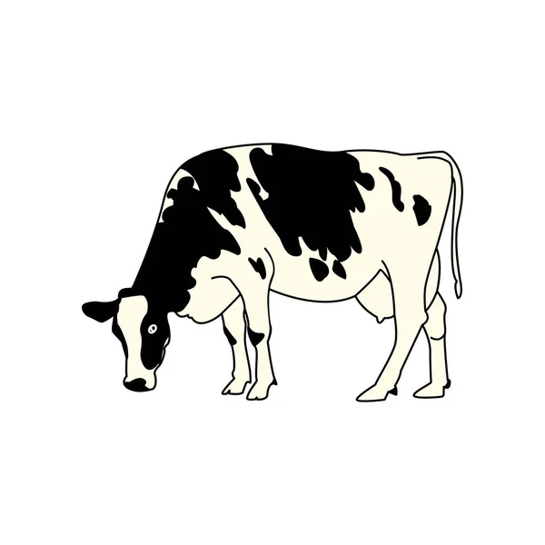 Illustration Vector Graphic Cow Design Draw — Stock Vector