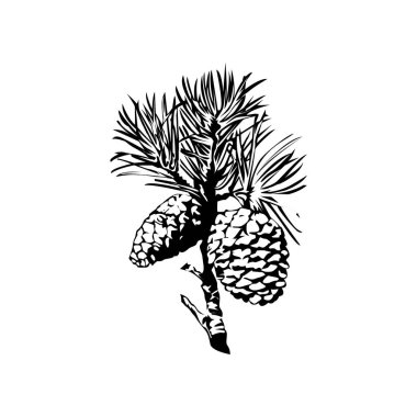 Çam kozalağı tasarımının İllüstrasyon Vektörü grafiği