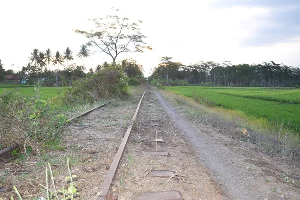 Passo Passo Lado Trilhas Ferroviárias Destruídas Velhas Grossas Com Esfregar — Fotografia de Stock