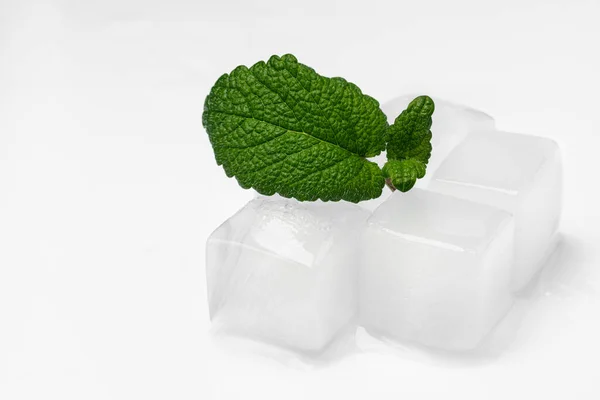 Cubos de hielo y hojas de menta, aislados sobre un fondo blanco. — Foto de Stock