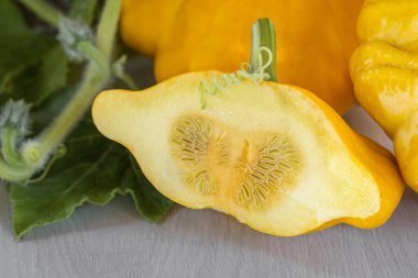 Bölümde Pattison sarısı, bir çeşit uçan daire..