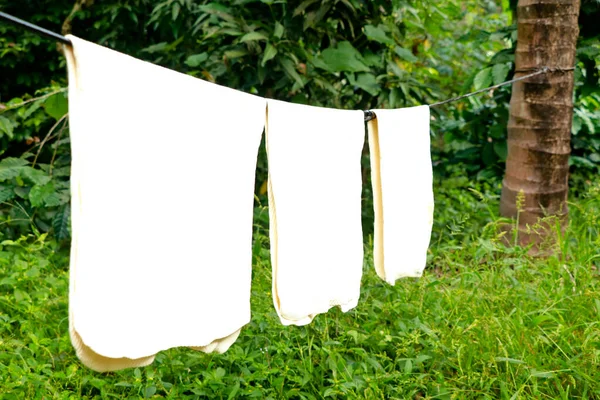 Hojas Goma Color Blanco Colgadas Para Secar Sobre Fondo Verde —  Fotos de Stock