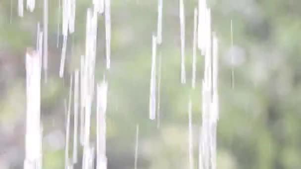 Grandes Pluies Mousson Dans Les Ghats Occidentaux Wayanad Kerala Avec — Video