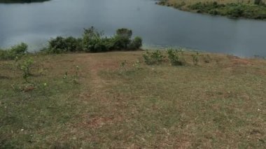 Wayanad, Kerala 'daki Karappuzha Barajı' ndan güzel bir manzara.