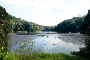 Pookkode Gölü 'nde tekne gezisi, Wayanad, Kerala, manzaralı bir tatlı su gölü.