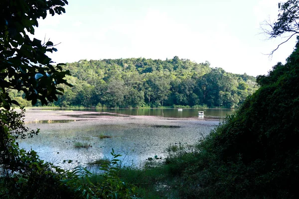 Pookkode Gölü Nde Tekne Gezisi Wayanad Kerala Manzaralı Bir Tatlı — Stok fotoğraf