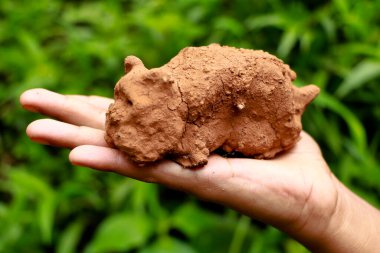 Yeşil arka planda bir hayvanın kilden modelini tutan bir çocuğun eli.