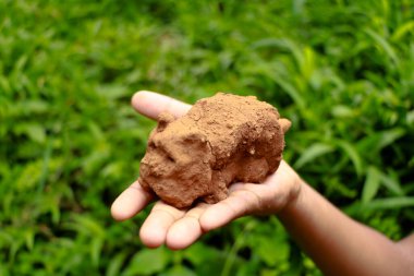 Yeşil arka planda bir hayvanın kilden modelini tutan bir çocuğun eli.