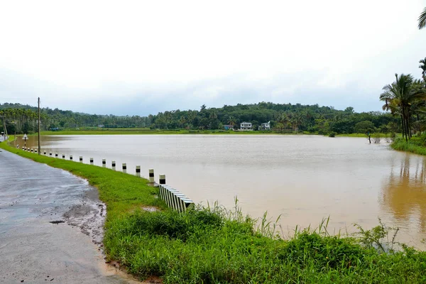 Eine Dorfstraße Durch Reisfelder Während Der Überschwemmungszeit Kerala Wayanad — Stockfoto