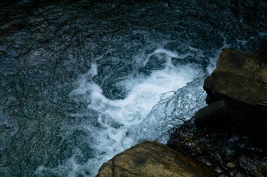 Ormandaki küçük bir dereden su damlıyor, saf su.