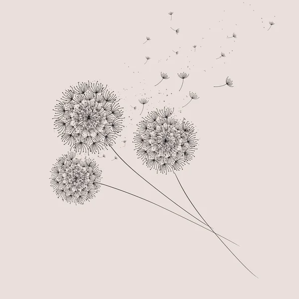 Dandelions on the cream background. The wind blows the seeds of a dandelion. Abstract Dandelions dandelion with flying seeds.