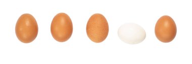 Üst üste beş kahverengi tavuk yumurtası beyaz arka planda izole edilmiş. Beyaz, kahverengi, bej tavuk yumurtası. Uyarı.