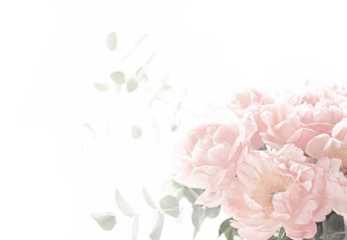 Beyaz arka planda bir buket şakayık. Okaliptüs ve şakayık buketi cam bir vazoda. Güzel bir buket çiçek. Kadınlar Günü, 8 Mart, Anneler Günü..