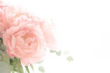 Beyaz arka planda bir buket şakayık. Okaliptüs ve şakayık buketi cam bir vazoda. Güzel bir buket çiçek. Kadınlar Günü, 8 Mart, Anneler Günü..