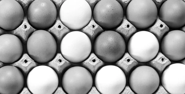 Close View Raw Chicken Eggs Egg Box White Beige Isolated — Stock Photo, Image