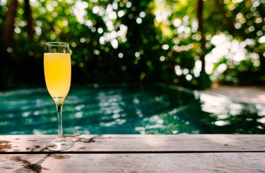 Tropikal bitki yaprakları ve güneş gözlüklerinden oluşan bir arka planda tropik bir kokteyl. Tropikal bitkilerin arka planında. Renk arkaplanı.