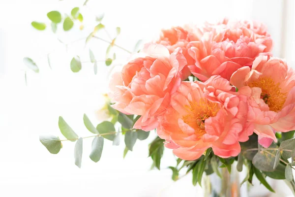 Bouquet of peonies on a white background. Eucalyptus and peonies bouquet in a glass vase. Beautiful bouquet of flowers. Womens day, 8 of March, Mothers day.