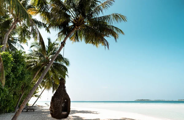 Αζούρ Ακτή Των Μαλδίβων Παραλία Φοίνικες Λευκή Άμμο Αιωρείται Στην — Φωτογραφία Αρχείου