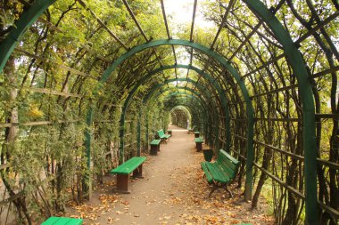 Gatchina Sarayı ve Parkı