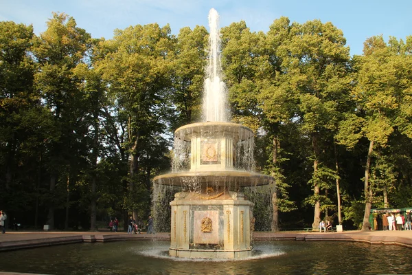 Passeggiata a Peterhof, il regno di fontane e parchi — Foto Stock