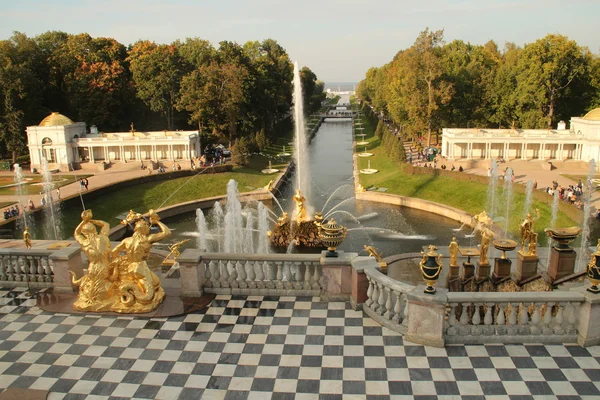 走在彼得夏宫，喷泉和公园的王国 — 图库照片