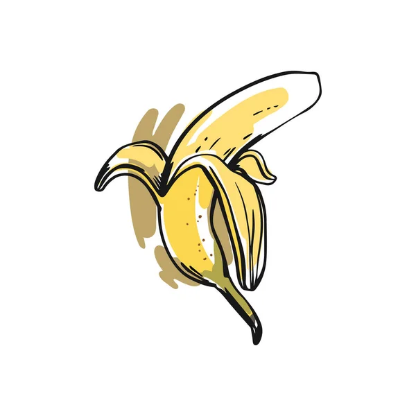 Banane Jaune Pelée Fruits Tropicaux Juteux Dessert Naturel Style Croquis — Image vectorielle
