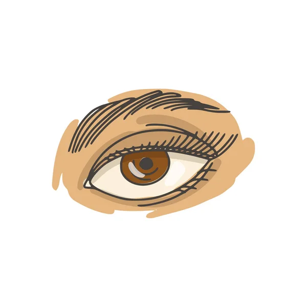 Γυναικείο Μάτι Μακιγιάζ Όμορφη Εμφάνιση Μακριές Βλεφαρίδες Στυλ Χρωματιστό Doodle — Διανυσματικό Αρχείο