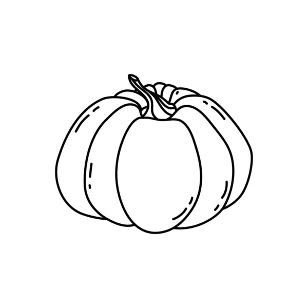 Illustration Linéaire Citrouille Décrivez Style Doodle Citrouille Symbole Halloween Automne — Image vectorielle