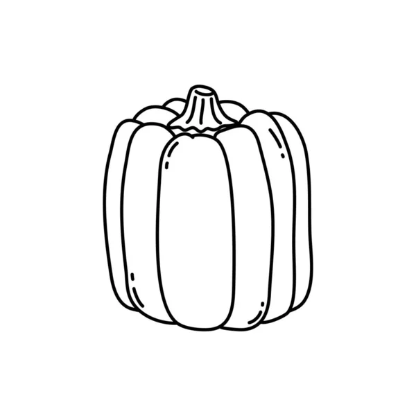 Linear Pumpkin Illustration Outline Doodle Style Pumpkin Symbol Halloween Fall — Stock Vector
