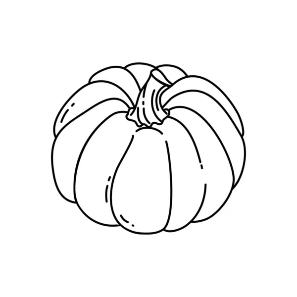 Linear Pumpkin Illustration Outline Doodle Style Pumpkin Symbol Halloween Fall — Stock Vector