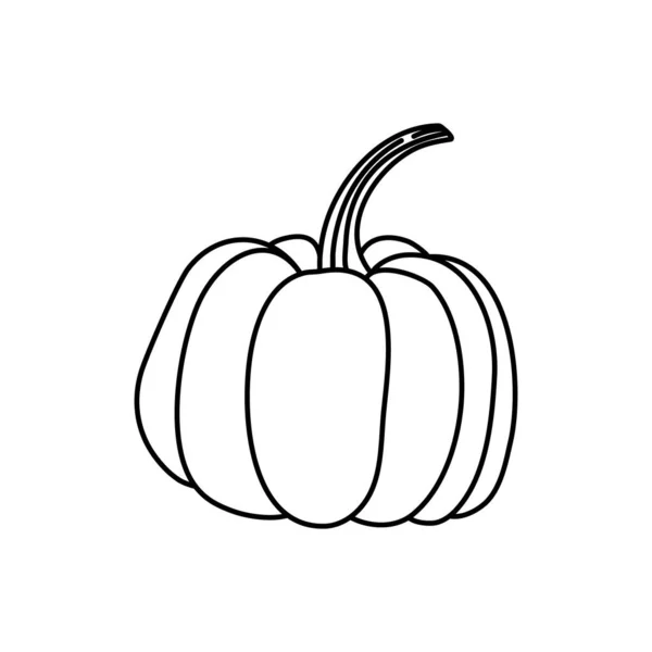 Linear Pumpkin Illustration Outline Doodle Style Pumpkin Symbol Halloween Fall — Stock Vector