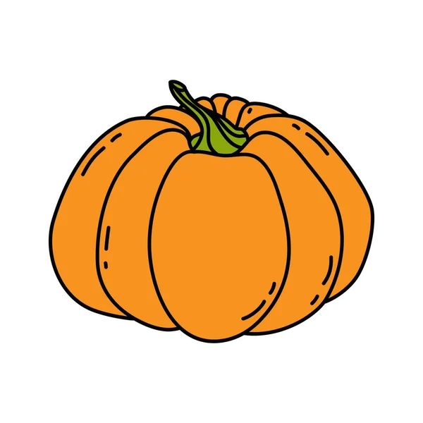 Orange Pumpkin Illustration Doodle Style Pumpkin Symbol Halloween Fall Thanksgiving — Stock Vector