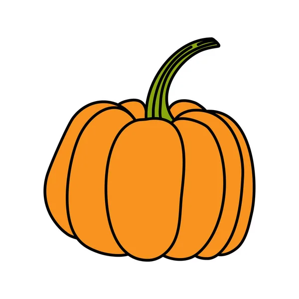 Illustration Citrouille Orange Dans Style Doodle Citrouille Symbole Halloween Automne — Image vectorielle