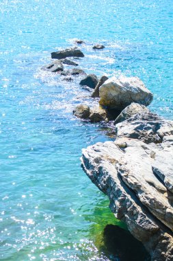 Özgün doğa resmi arka plan olarak