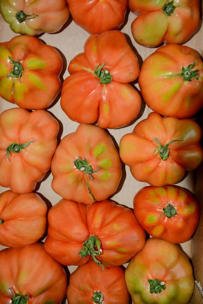 Vegetables Italian Countryside Tomatoes Salads — Stock Photo, Image