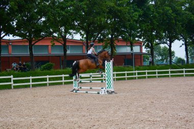 Ritim ve atlama anında binicinin ve atın konumunu gösteren bir kursta atlama dersi göster