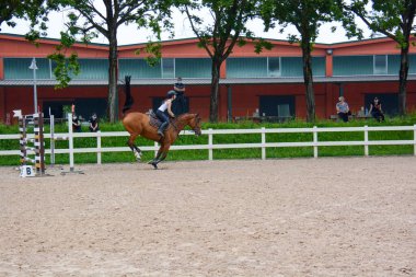 Atlama: kafes atlama işlemi, at dinamiği ve sürücü pozisyonu