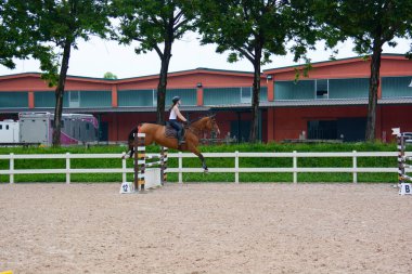 Atlama: kafes atlama işlemi, at dinamiği ve sürücü pozisyonu