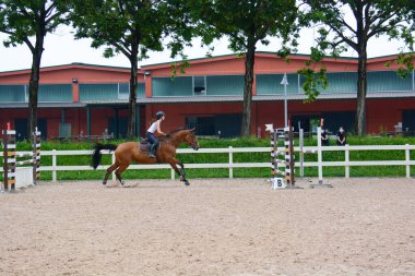 Atlama: kafes atlama işlemi, at dinamiği ve sürücü pozisyonu