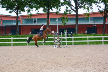 Atlama: kafes atlama işlemi, at dinamiği ve sürücü pozisyonu