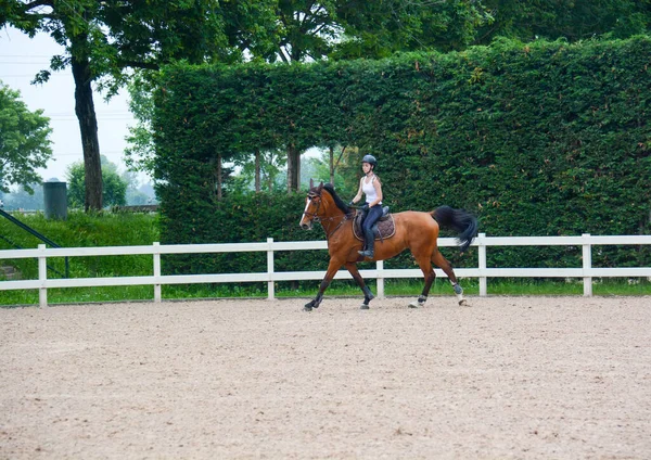 Italiensk Ryttare Landet Ridning Visar Trim Och Balans Ryttare Och — Stockfoto