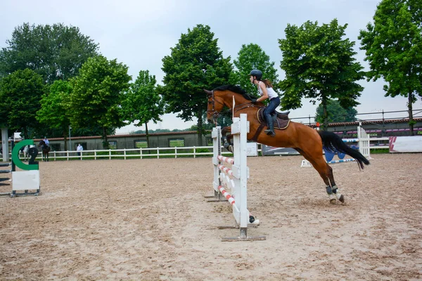 Mostrar Lección Salto Curso Con Detalle Posición Del Jinete Caballo — Foto de Stock