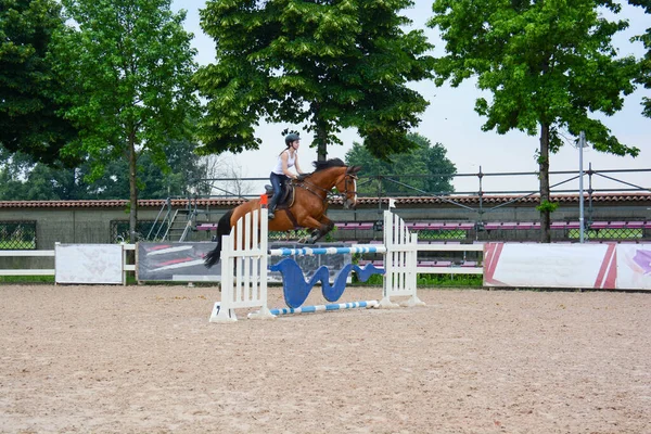 在赛程中展示跳跃课 详细说明骑手和马匹在比赛时的位置和跳跃动作 — 图库照片