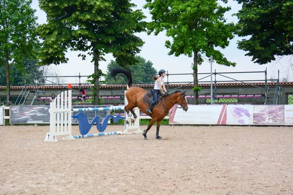 Mostrar Lección Salto Curso Con Detalle Posición Del Jinete Caballo — Foto de Stock